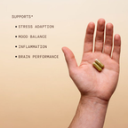 Adaptogenic Wellness Blend Capsules